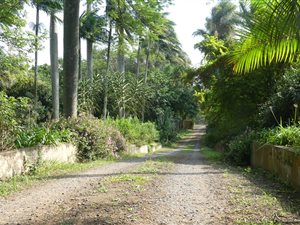 7.2 ha Farm in Shakaskraal