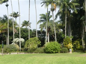 7.2 ha Farm in Shakaskraal