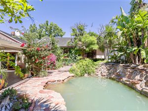 4 Bed House in Monte Sereno
