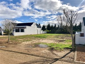 567 m² Land available in Croydon Olive Estate
