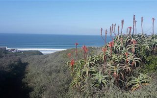 700 m² Land available in Boggomsbaai