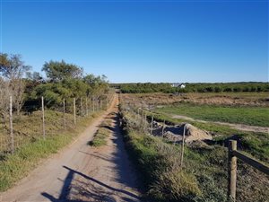 6 ha Farm in Humansdorp