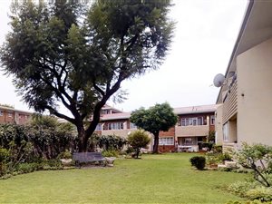 1 Bed Apartment in Lambton