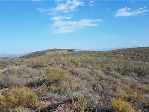 40 ha Farm in Bonnievale