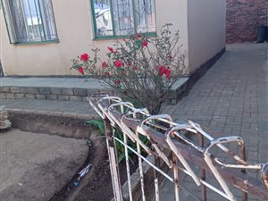 2 Bed House in Etwatwa