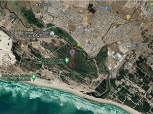 5.2 ha Farm in Macassar