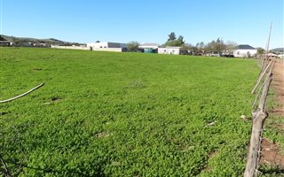 3965 m² Land available in Moorreesburg