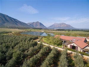 79 ha Farm in Porterville