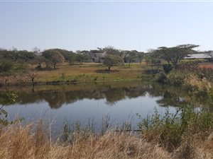 8.2 ha Farm in Sonheuwel