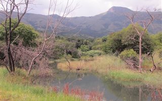 1000 m² Commercial space in Nelspruit Central