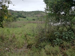 3 ha Farm in Craigieburn