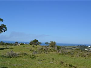 4 ha Farm in Piesang Valley