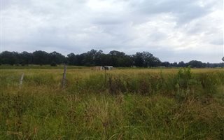 2.1 ha Farmland in Walkers Fruit Farms