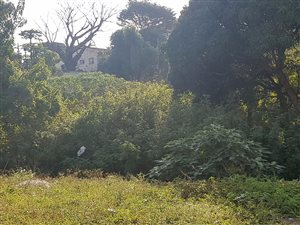 1242 m² Land available in Asherville