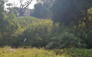 1242 m² Land available in Asherville