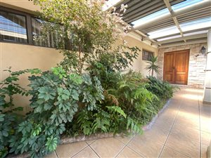 4 Bed House in Rouxville
