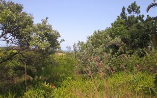 1056 m² Land available in Leisure Bay