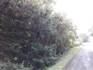 1107 m² Land available in Leisure Bay