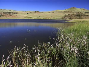 2974 m² Land available in Henley on Klip