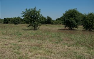 1000 m² Land available in Boschkop