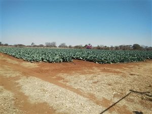 Commercial space in Bela-Bela (Warmbaths)