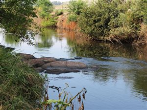2.8 ha Farm in Waterval