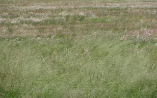 4 ha Land available in Mooiplaats AH