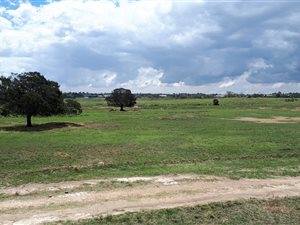 Farm in Rietfontein