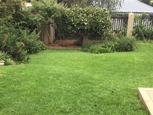1 Bed Garden Cottage in Melville