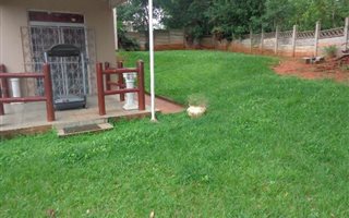 3 Bedroom Duplex in Woodhaven