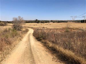 10 ha Land available in Klipkop