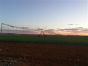 171.3 ha Farm in Bainsvlei