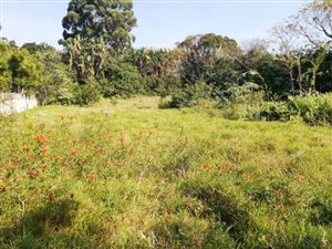 1352 m² Land available in Uvongo
