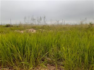 888 m² Land available in Bronkhorstbaai