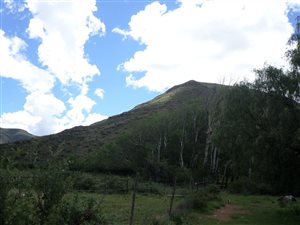 1681 ha Farm in Middelburg