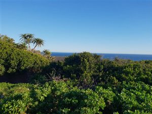 753 m² Land available in Beachview