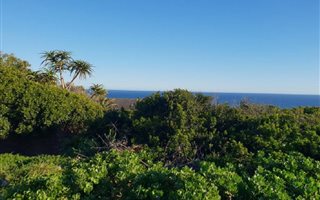 753 m² Land available in Beachview