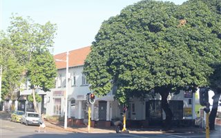 500 m² Office Space in Berea