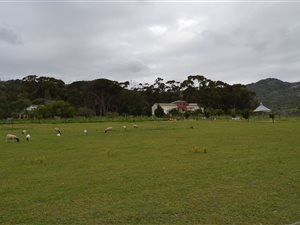 33 ha Farm in Paarl