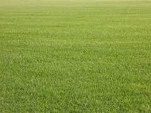 5390 m² Land available in Cosmo City