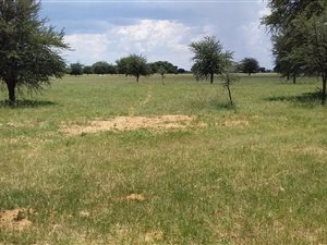 85 ha Farm in Mafikeng