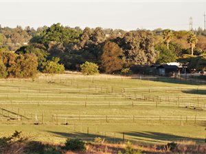2 ha Farm in Sun Valley