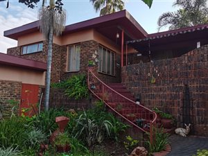 3 Bed House in Mountain View