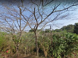 4048 m² Land available in Crestholme