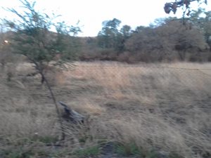 5 ha Farm in Amandasig