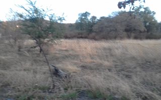 5 ha Farm in Amandasig