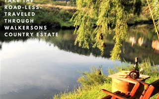 1.3 ha Land available in Dullstroom