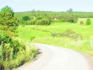 12.7 ha Farm in Currys Post
