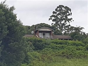 12.7 ha Farm in Currys Post