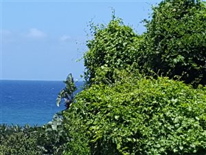 1680 m² Land available in Woodgrange